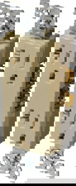 Straight Blade Duplex Receptacle: NEMA 5-20R, 20 Amps, Self-Grounding